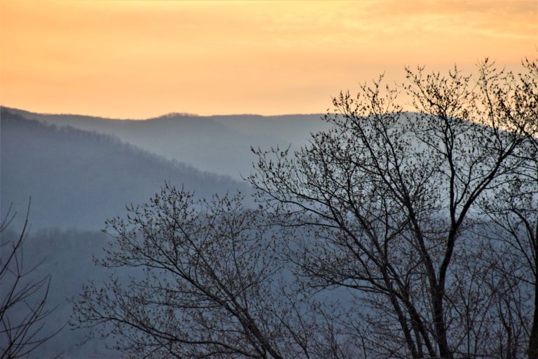 Blue Ridge View